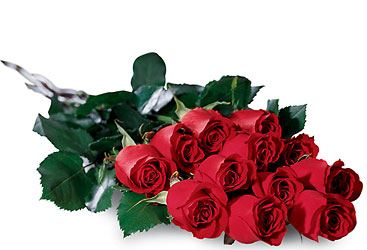 One Dozen Roses Wrapped from Maplehurst Florist, local flower shop in Essex Junction